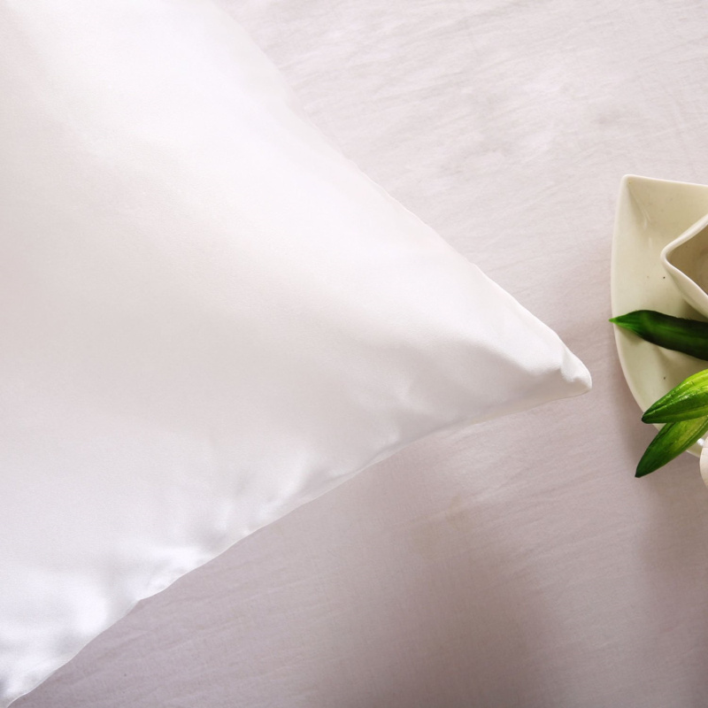 Taie d'oreiller en soie de mûr - Silk Pillowcase avis et prix