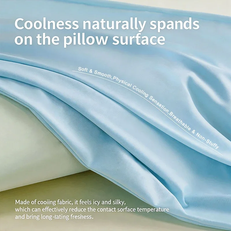 1 taie d'oreiller en soie glac - Silk Pillowcase avis et prix